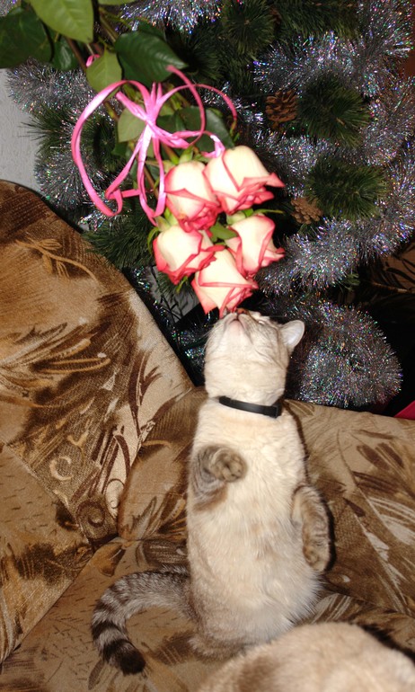 Взлет №67. День 5