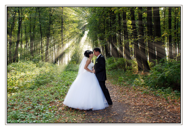 Начало новой жизни....