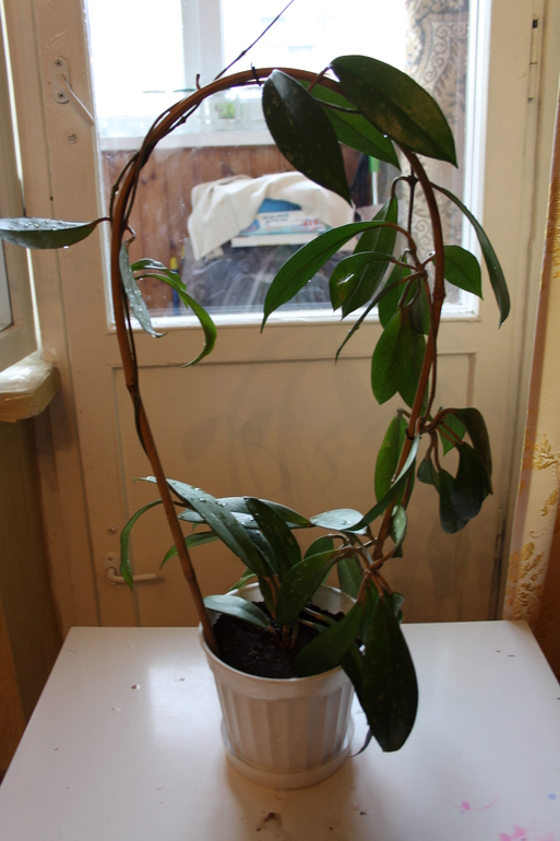 Провела перепись населения.Ну и фото на память.