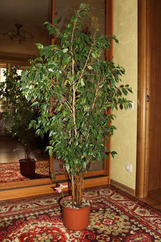 Провела перепись населения.Ну и фото на память.