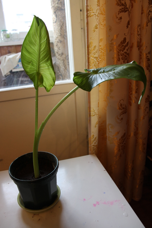 Провела перепись населения.Ну и фото на память.