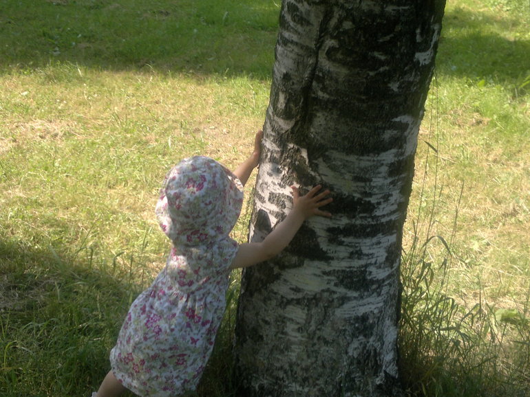 ТН Деревья (наш первый опыт)