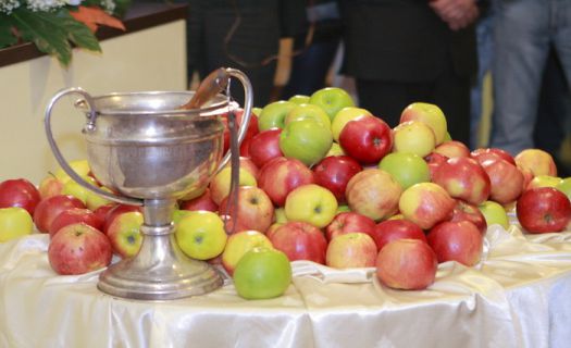Яблочный Спас - как мы провели день