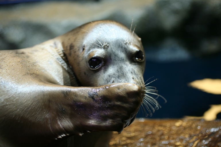 Наше морское