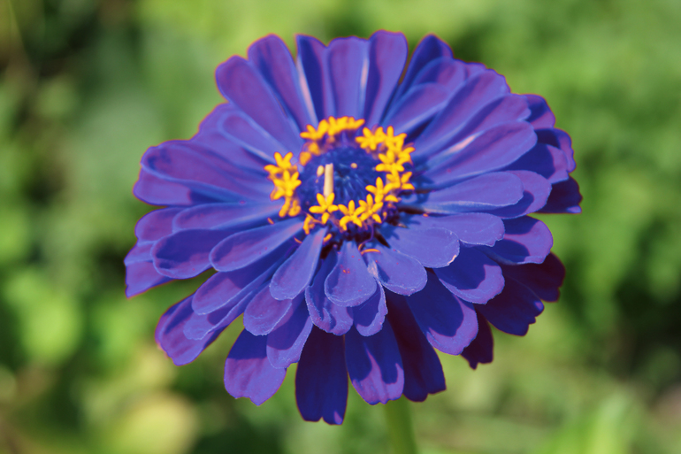 Контрольное задание № 20. "Меняем цвет в Photoshop"