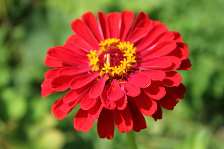 Контрольное задание № 20. "Меняем цвет в Photoshop"