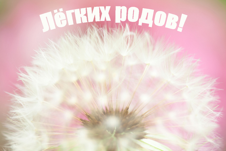 1c62a476118a767b3056df17d7f4fa56.jpg