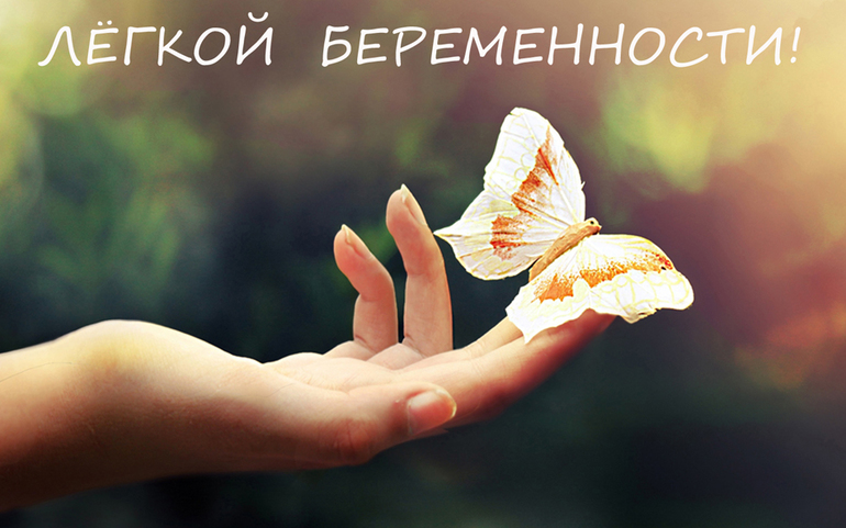 b4a2146adff7be86a64b64f771ed4b44.jpg