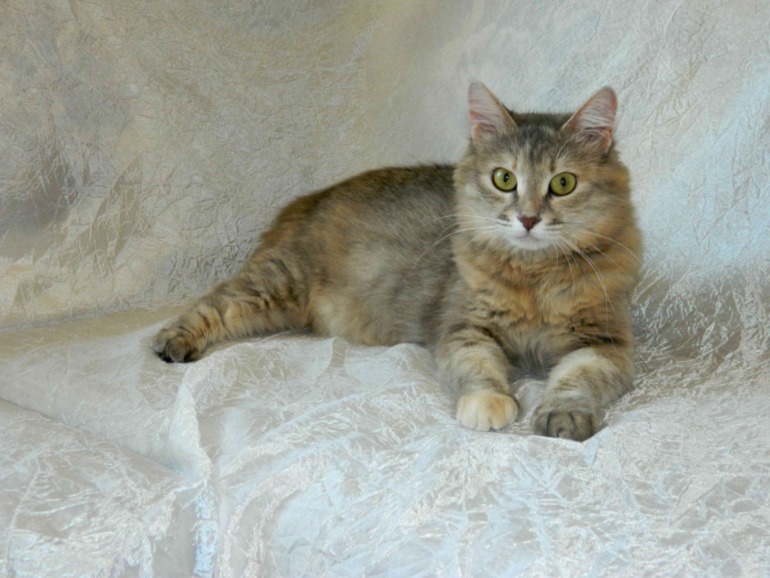 Можно и свою красоту покажу еще раз???