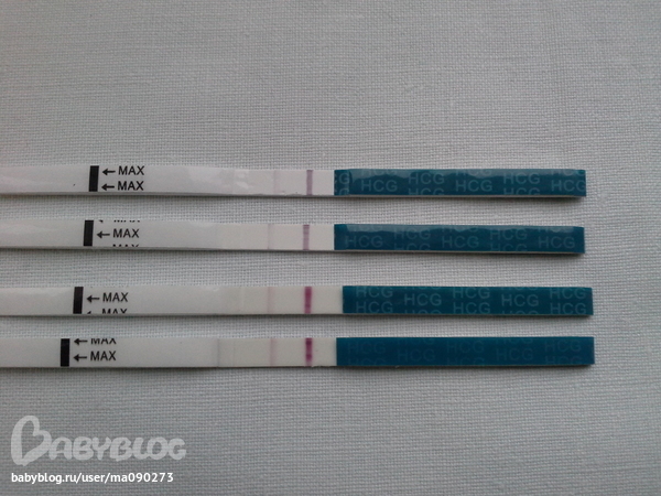 db530dae1e66140dc98d9ebffcdbd64f.jpg