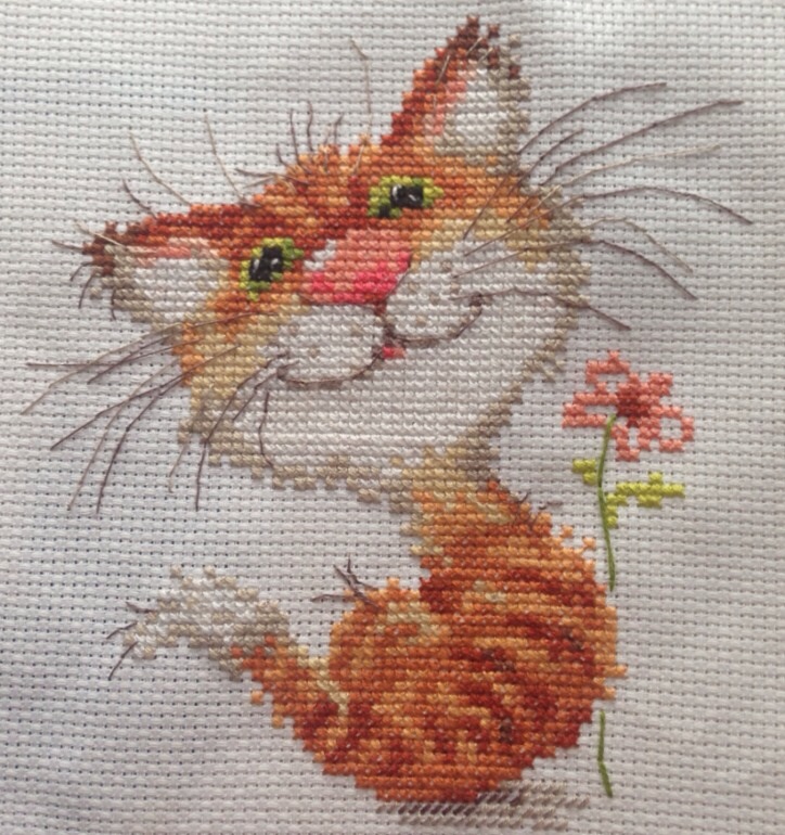 Мой годовой отчет..