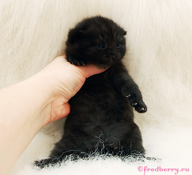 А вот и первые фоточки