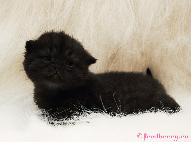 А вот и первые фоточки