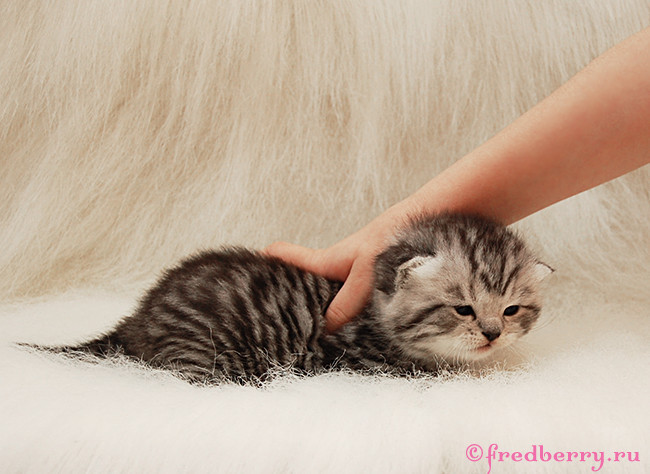 А вот и первые фоточки