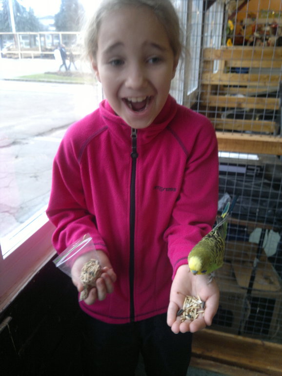 Контактный зоопарк и тропические бабочки на ВВЦ