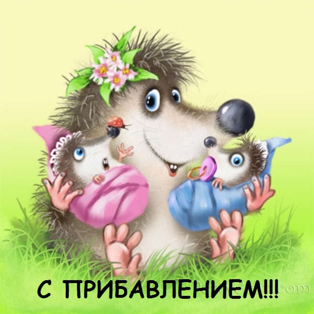 ebb19f4e6ef80546564b47ecb3593def.jpg