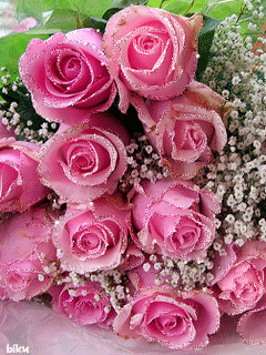 30ad09a94314aac017acbdcce358ee24.gif