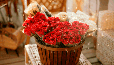 21d9ff42914118613a65e0bd9b66f80f.gif