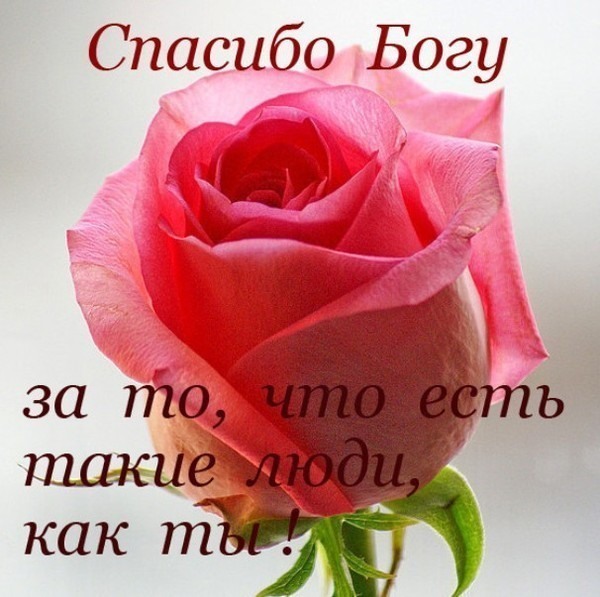 8d0513a394d55f771b5721f5a43c0413.jpg