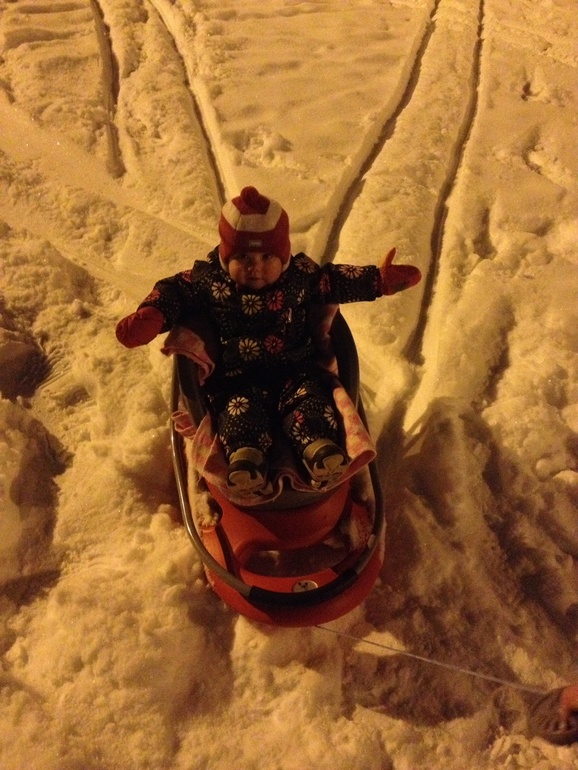 Купили санки!