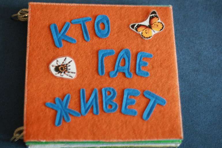 Фетровая книга "Кто где живет"