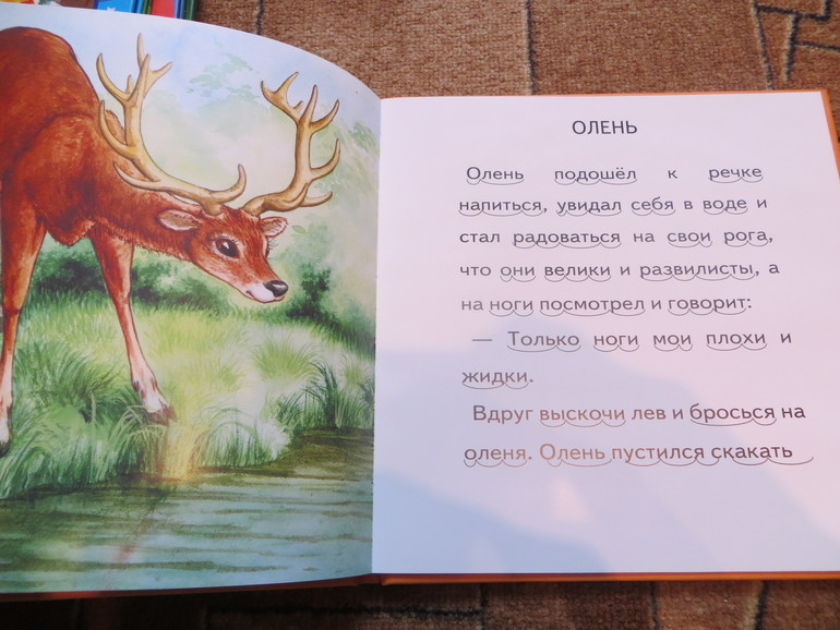 Всем рекомендую