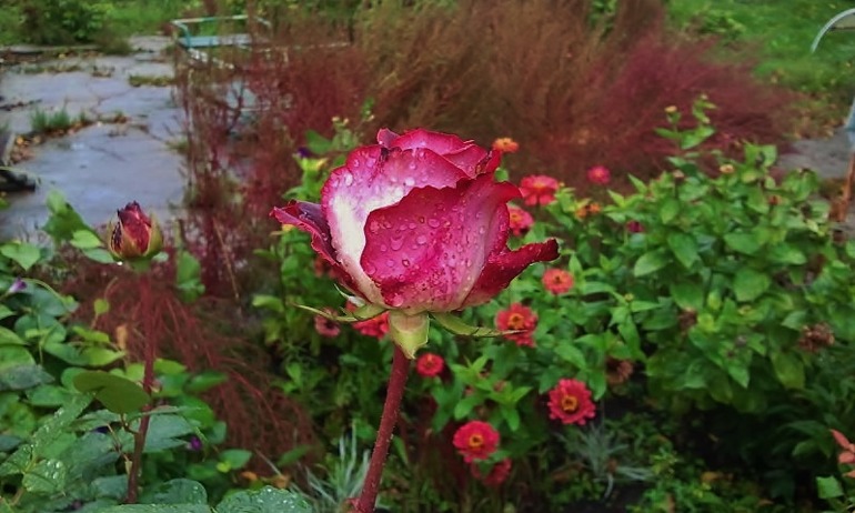 Мои самостоятельные работы!