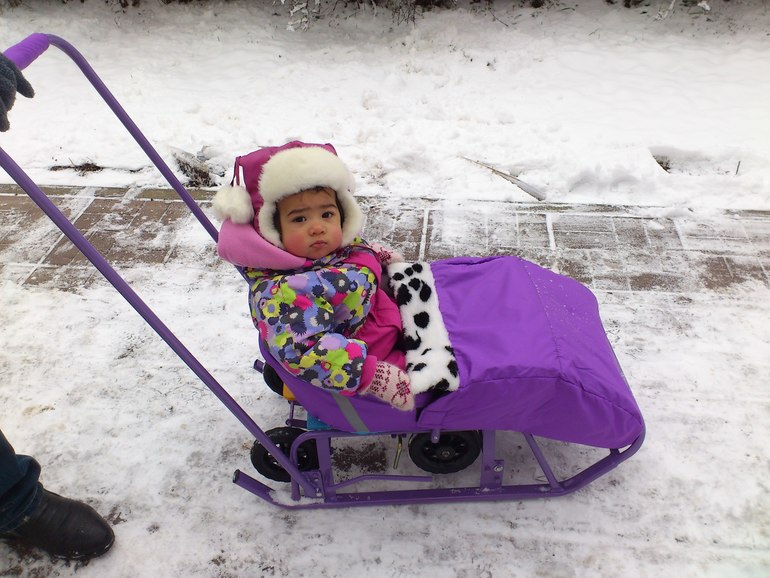 Универсани ДИМОН