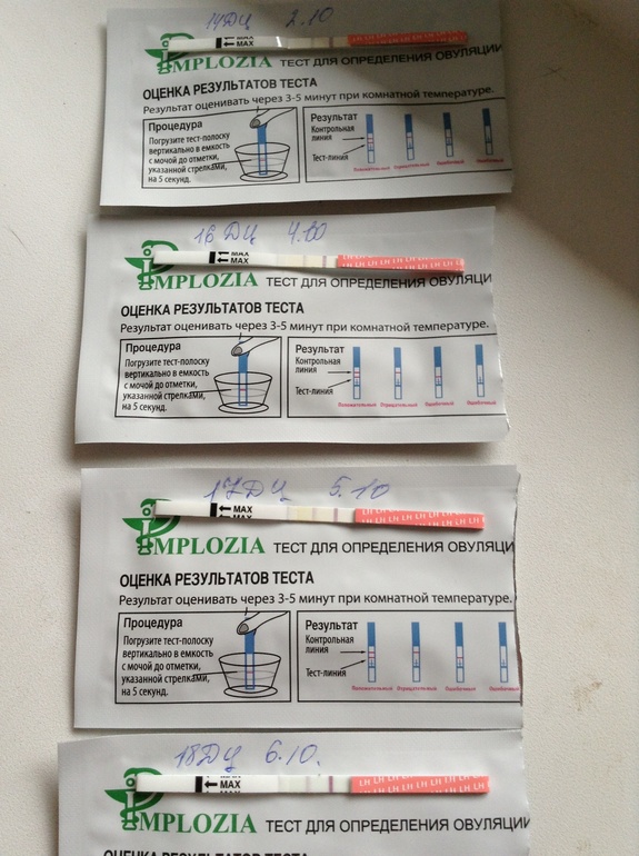 Подскажите дорогие мои???