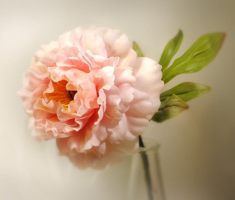 Набор на мастер-класс по лепке из полимерной глины