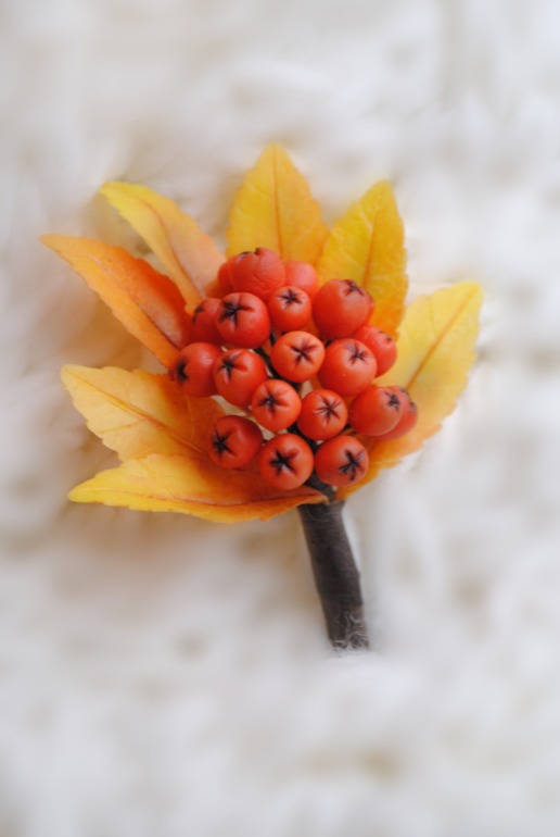 Две брошки-ягодки