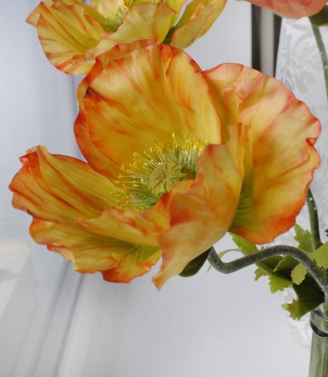 Букет из необычных маков