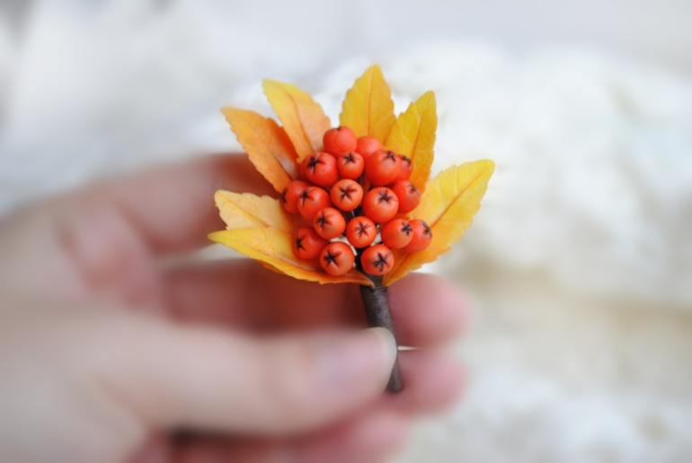 Две брошки-ягодки