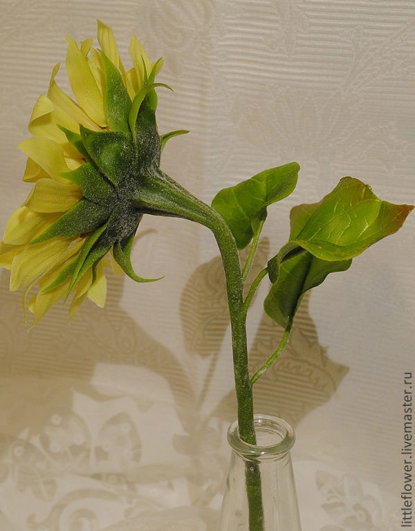 Самый солнечный цветок - Подсолнух