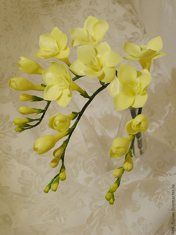 Три веточки фрезии