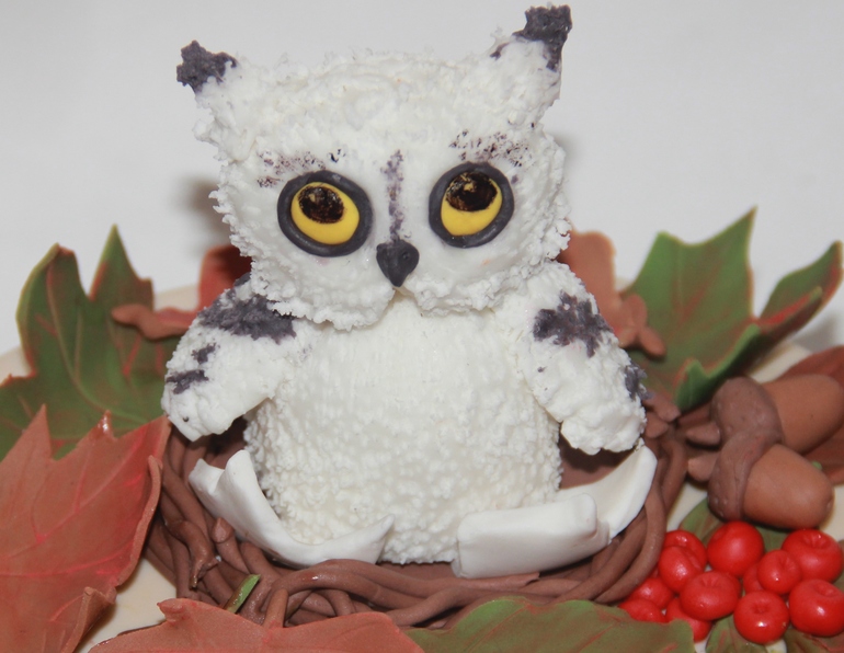 Торт с совёнком