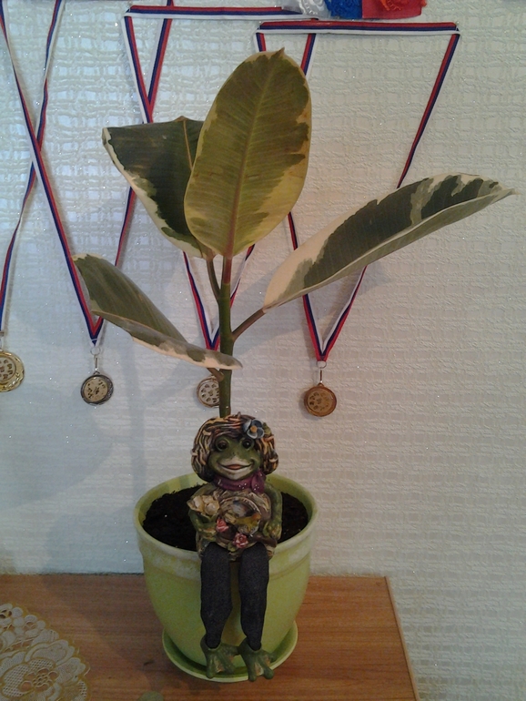 мой фисусик