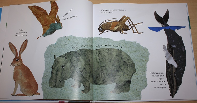 Про не только хвосты, носы и уши ))