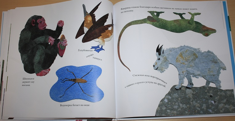 Про не только хвосты, носы и уши ))