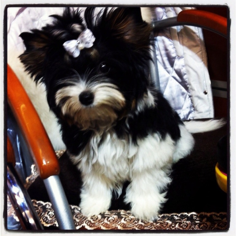 Моя любимочка