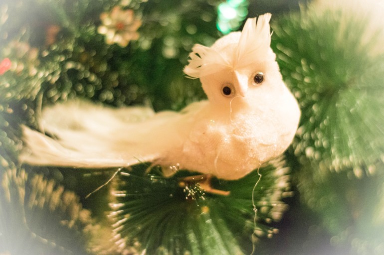 Мы тоже нарядили елочку