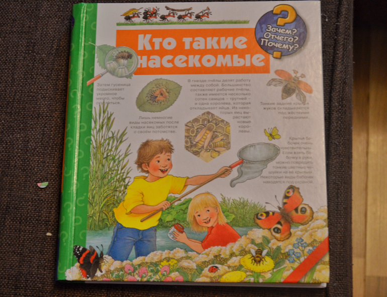 Картинки с летом большого формата Картинки с летом большого формата