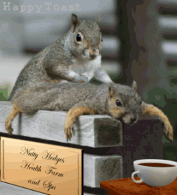 0b4203b61b4da7342e5439e08dee9a7a.gif