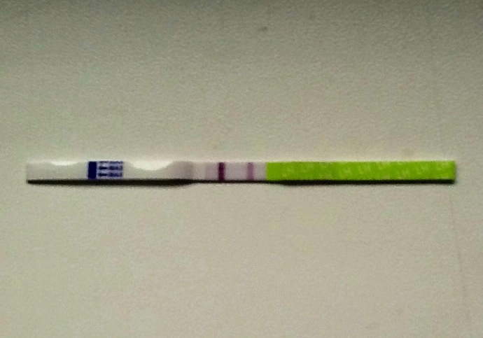 Овуляция ...