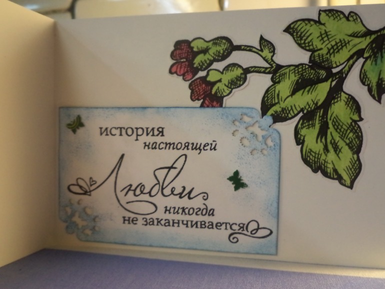 Мои первенцы