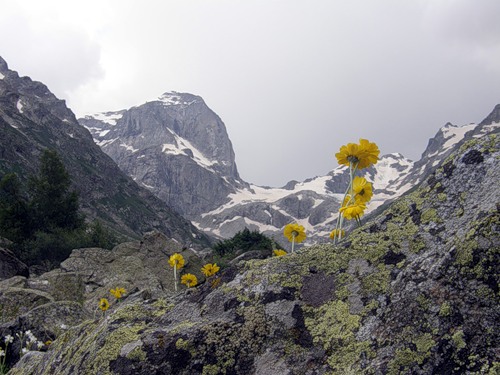 красивые уголки природы