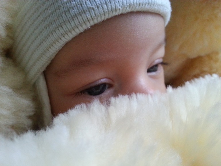 Меховые конверты Monsito