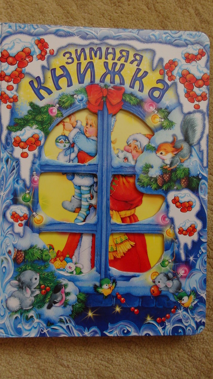 Зимняя книжка