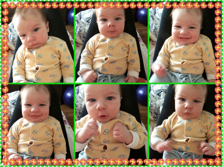 Любимки и умелки в 2 месяца