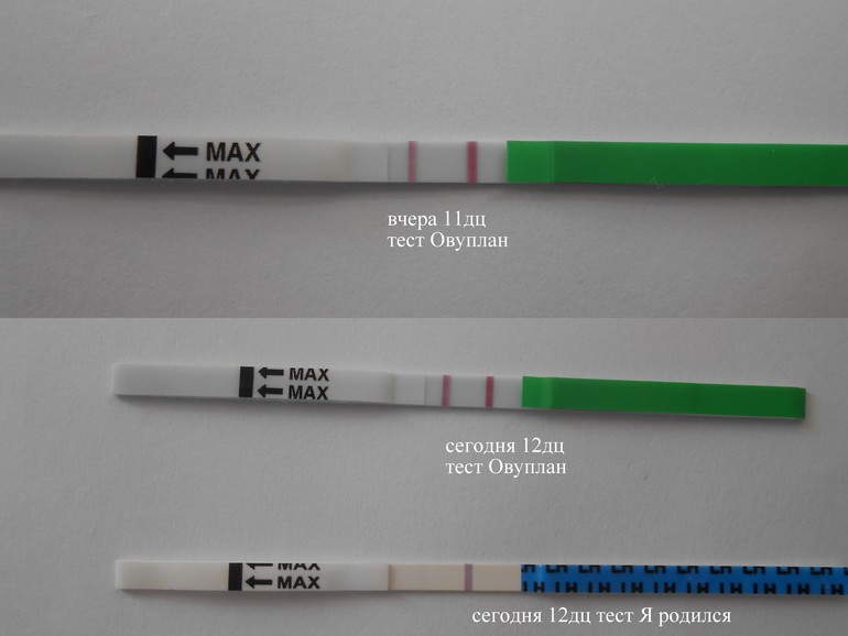 Овуплан Тест На Овуляцию Купить В Спб